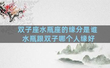双子座水瓶座的缘分是谁 水瓶跟双子哪个人缘好